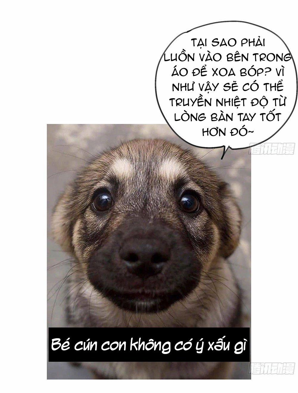 Đêm Sao 30 trang 19