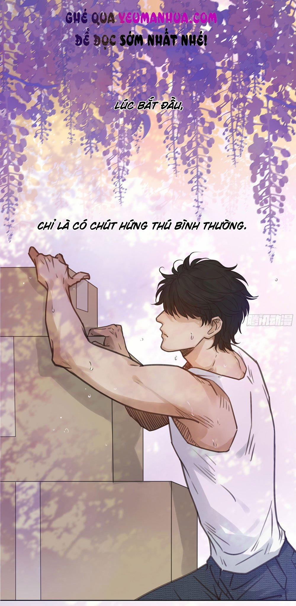 Đêm Sao 32 trang 0