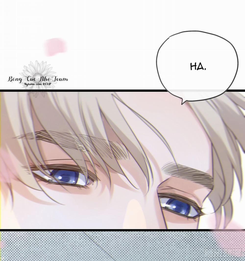 Đêm Sao 6 trang 40