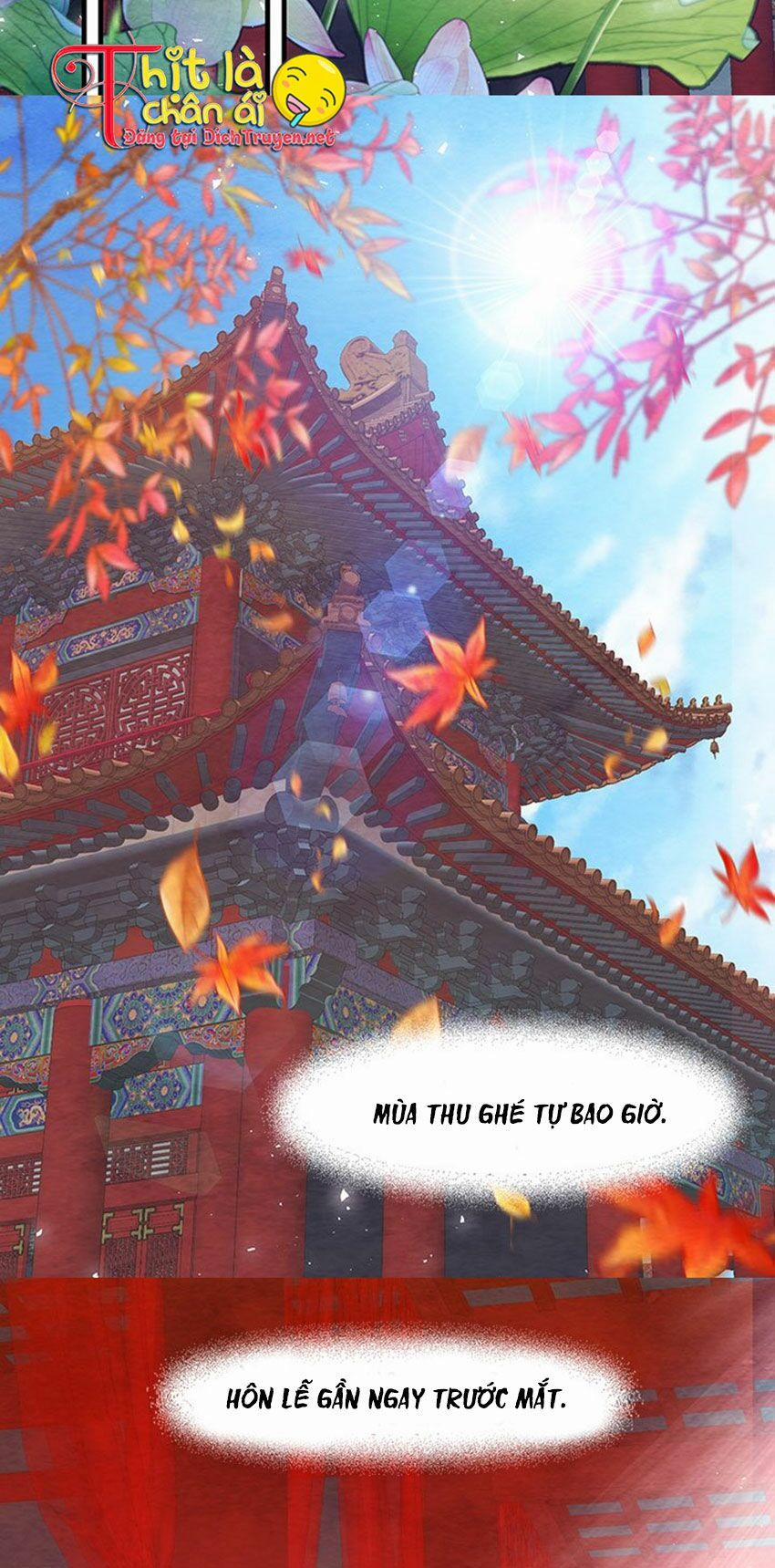 Đêm Thác Loạn (Đêm Dục Vọng) 22 trang 1