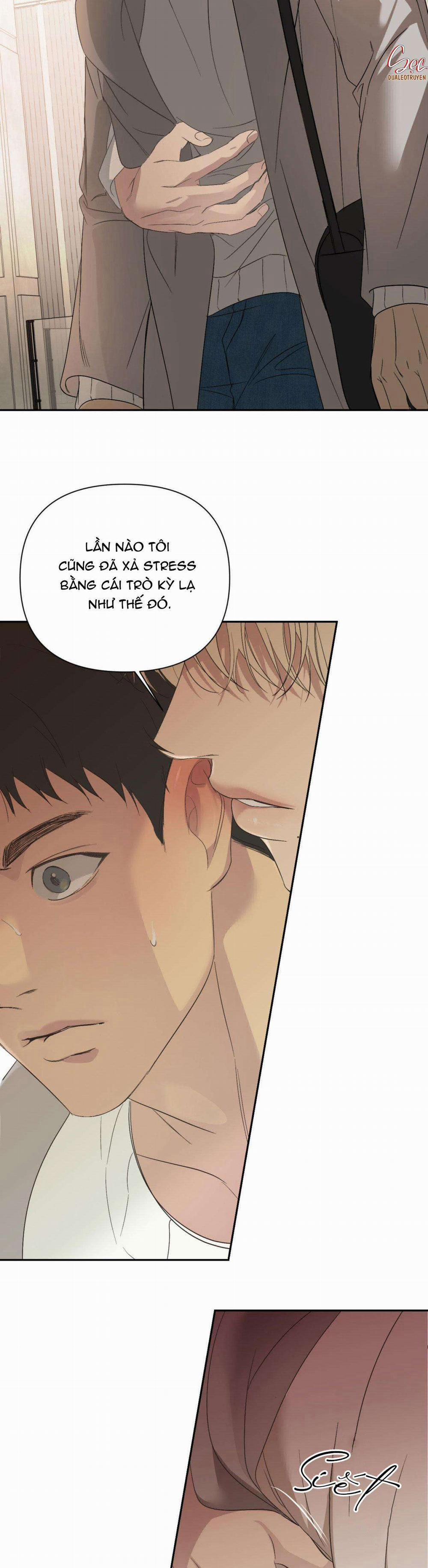 Đèn Nền 15 trang 24