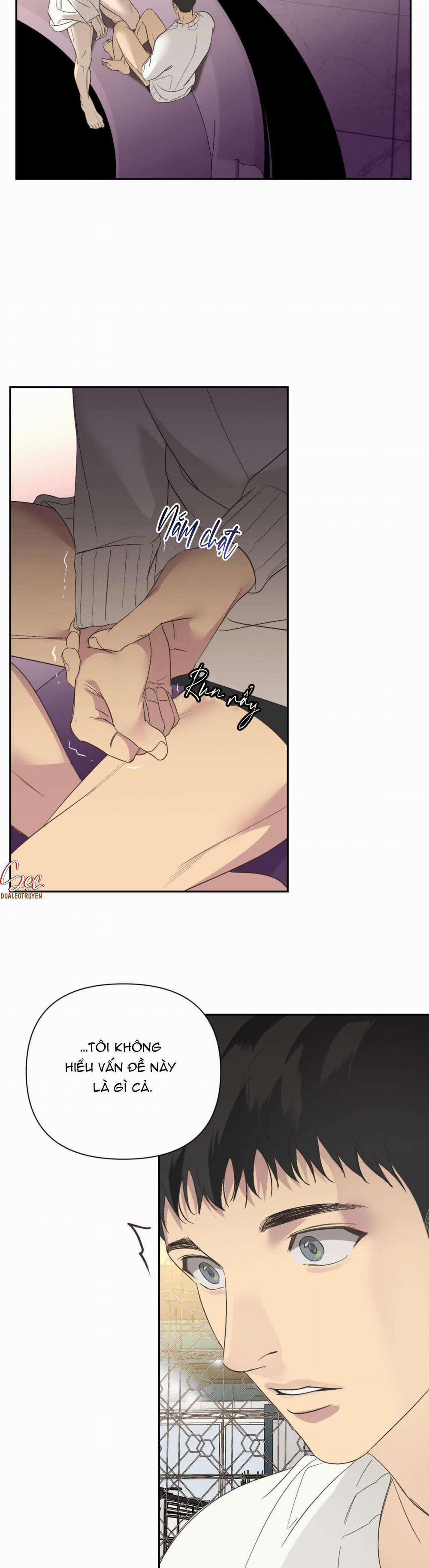 Đèn Nền 17 trang 2