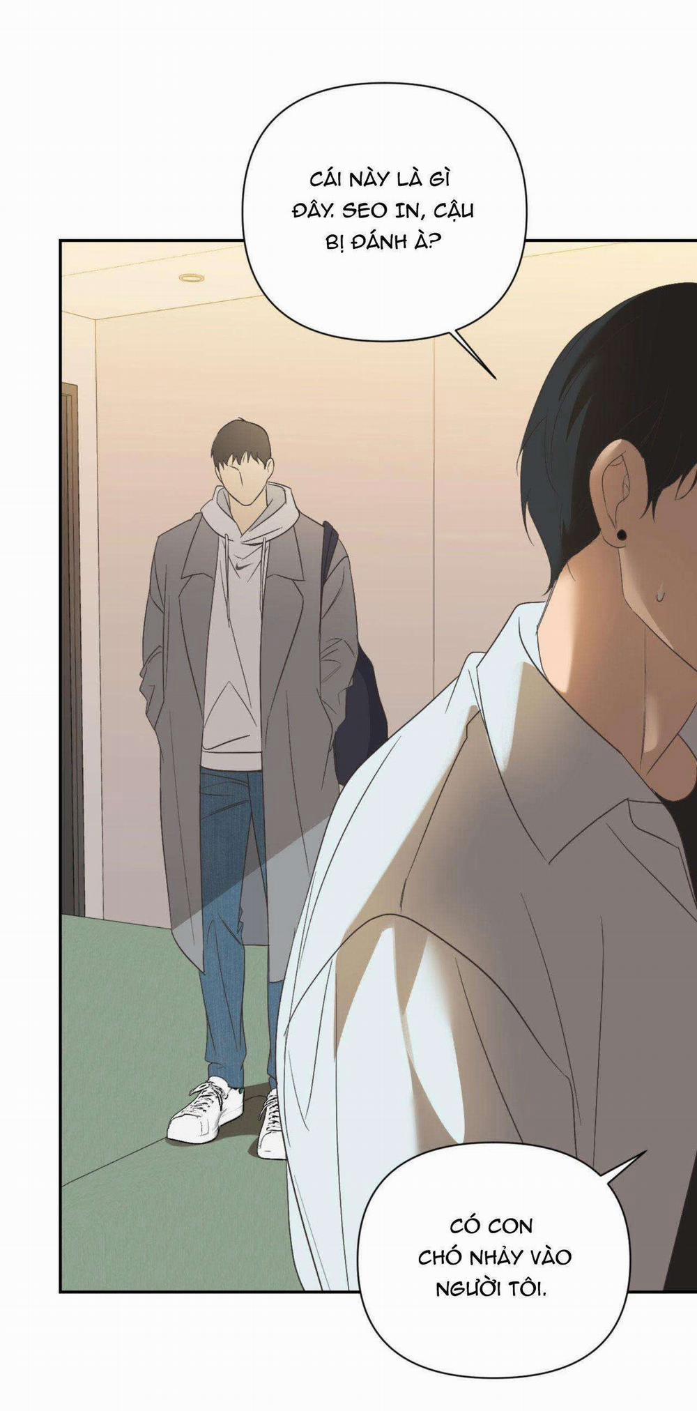 Đèn Nền 18 trang 3