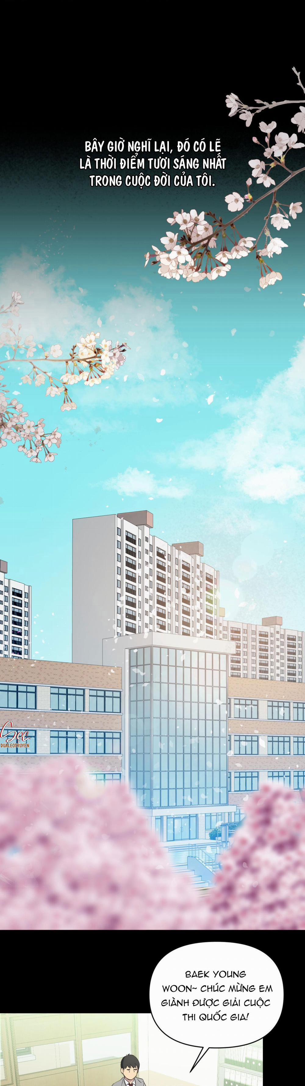 Đèn Nền 2 trang 6