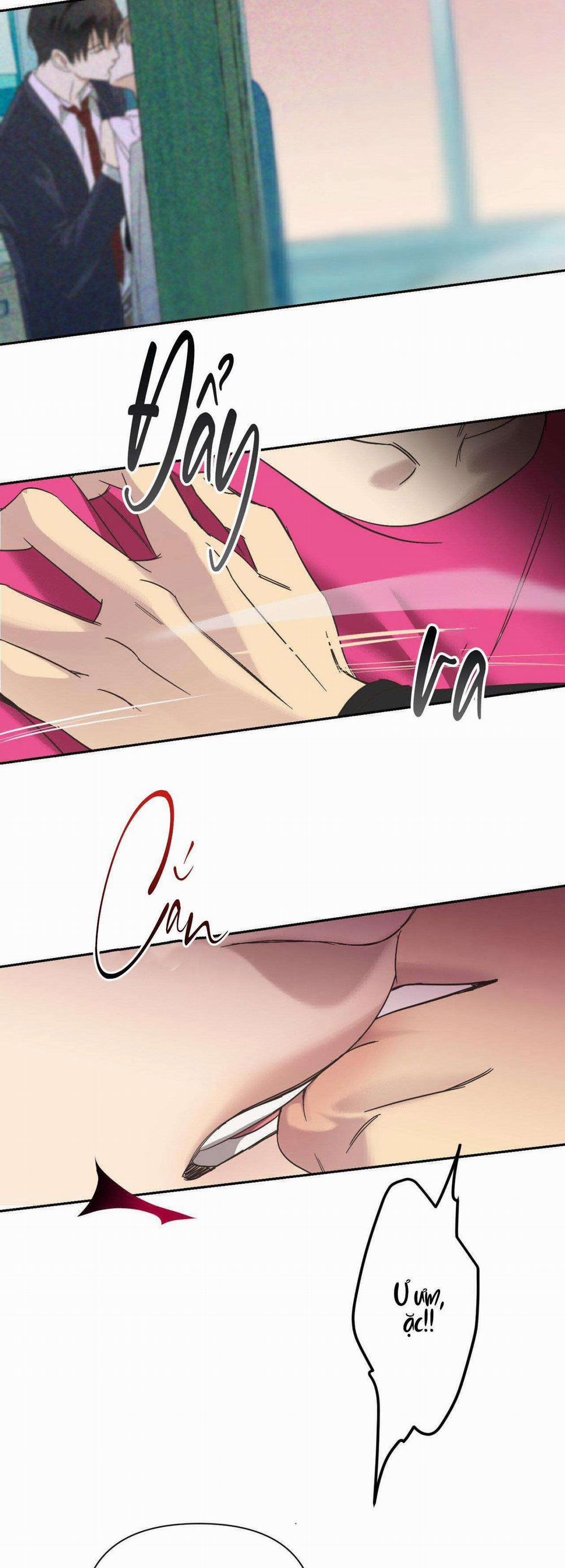 Đèn Nền 20 trang 29