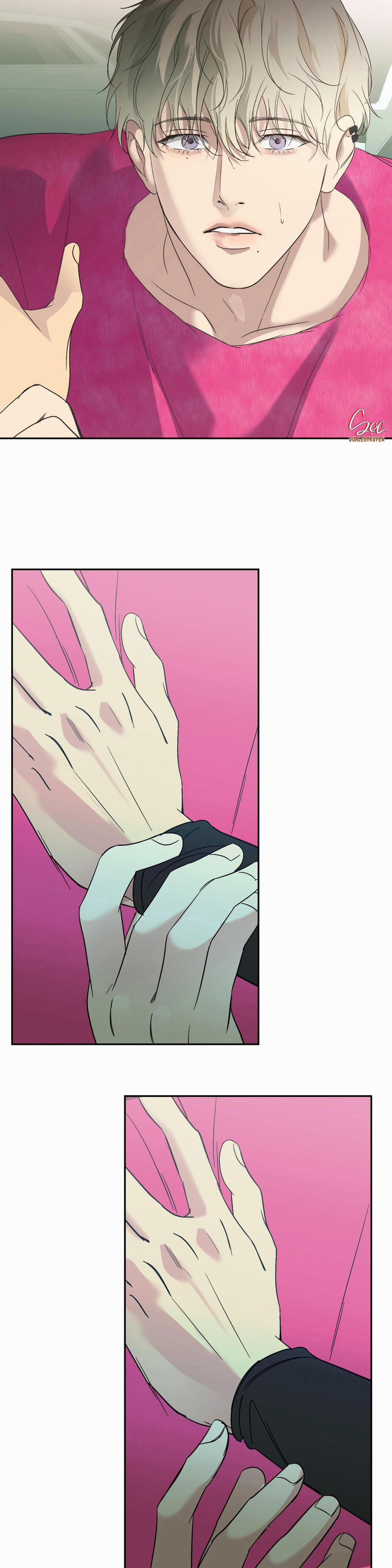 Đèn Nền 21 trang 24