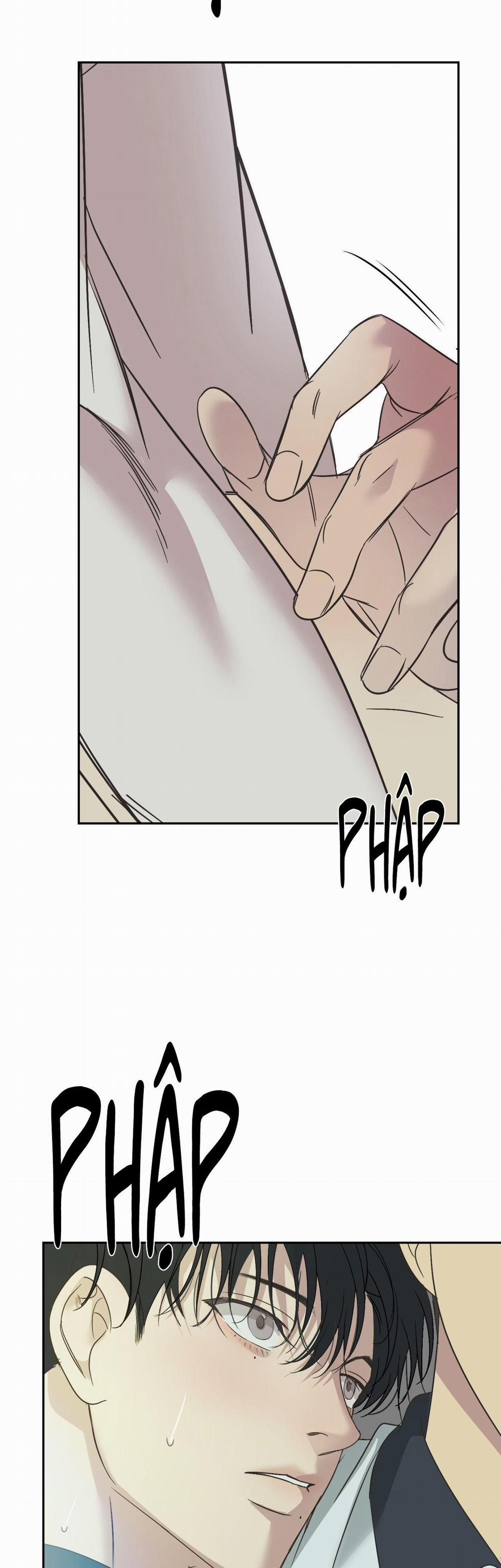 Đèn Nền 24 H++ full HD trang 23