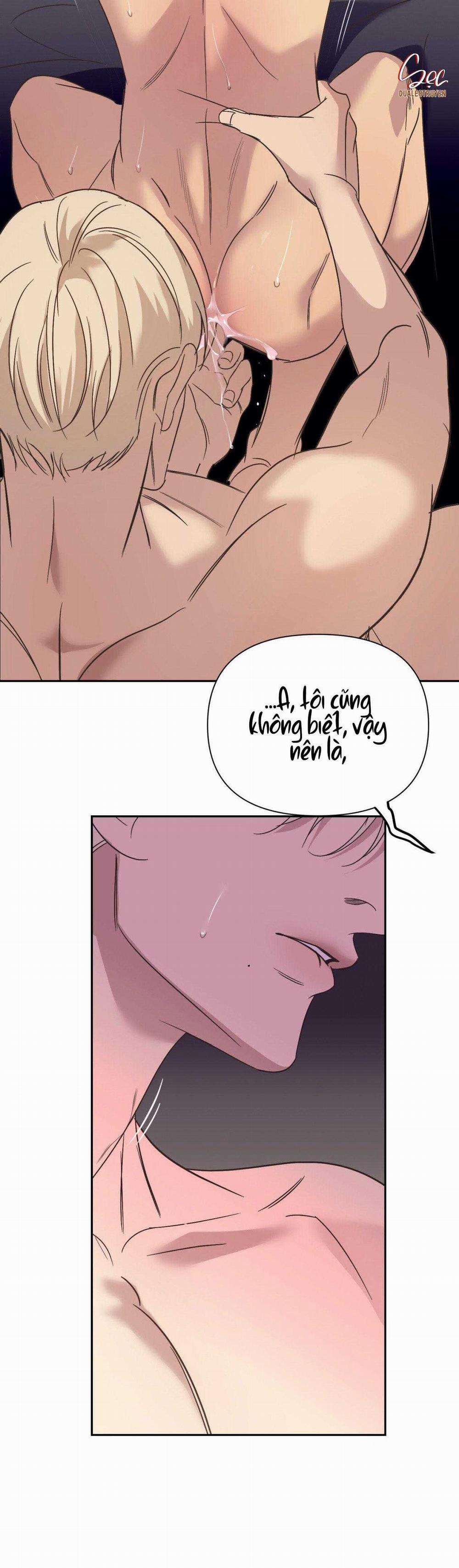 Đèn Nền 24 trang 15