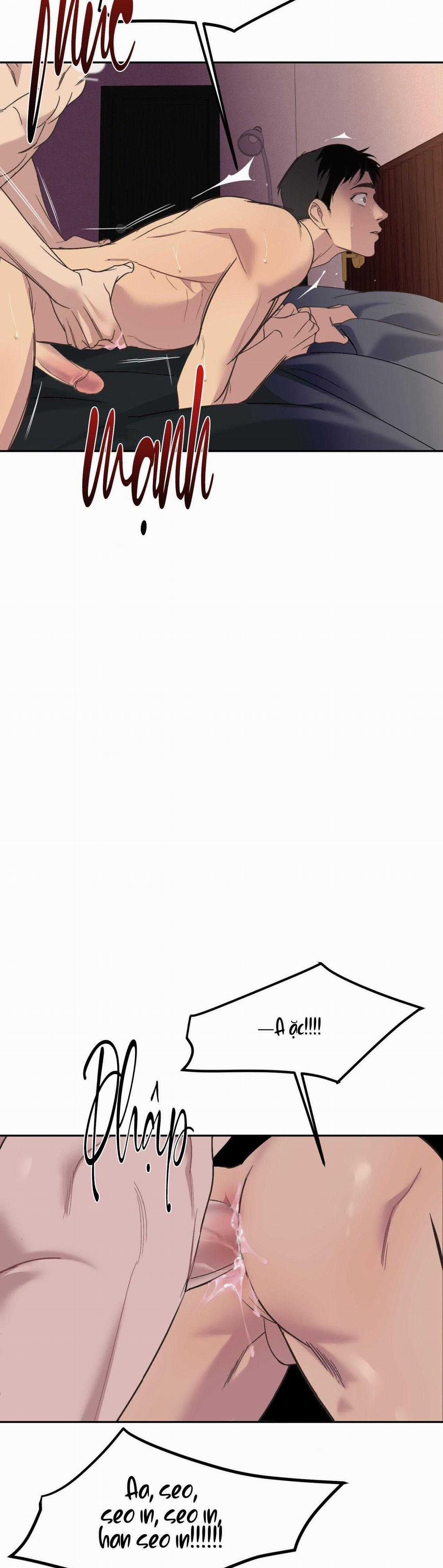 Đèn Nền 24 trang 17