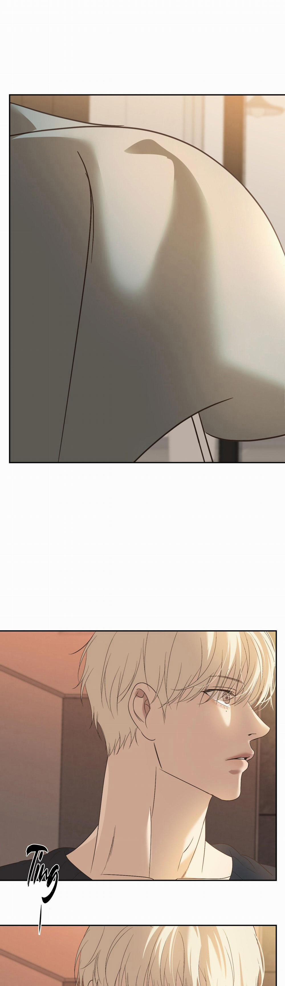 Đèn Nền 25 H++ full HD trang 26