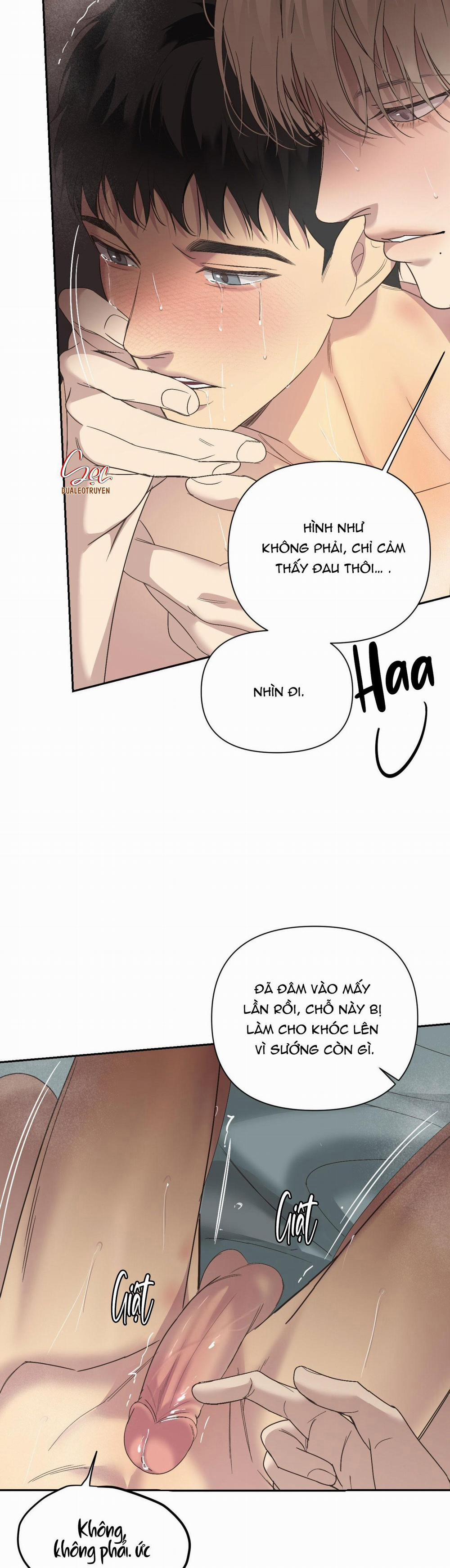 Đèn Nền 25 H++ full HD trang 3