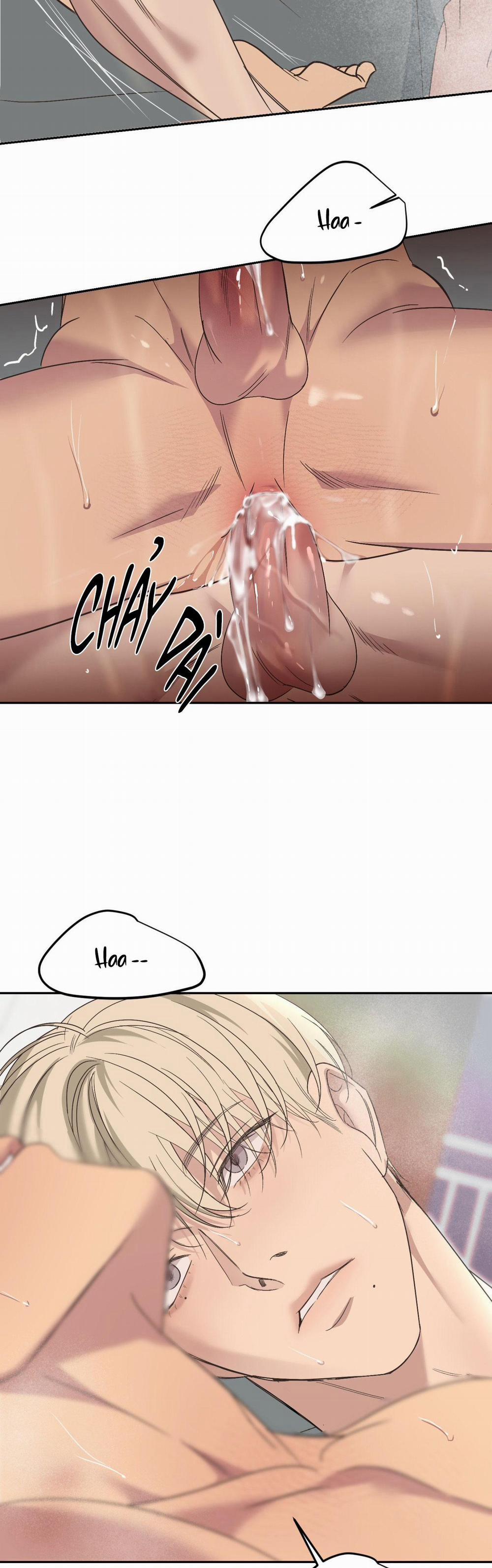 Đèn Nền 25 H++ full HD trang 9