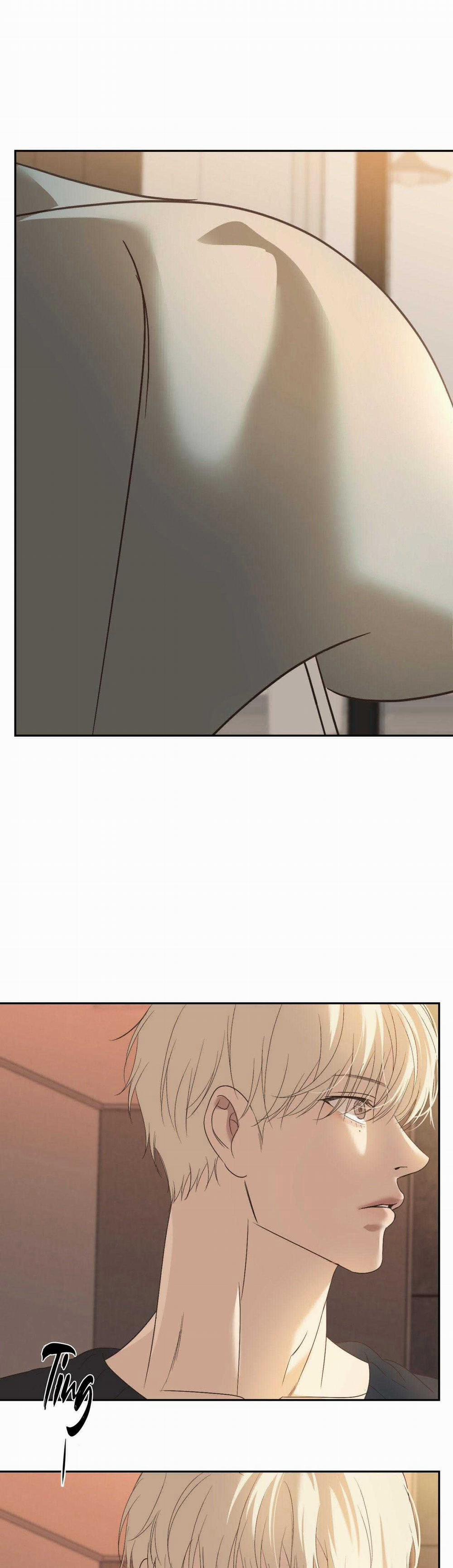 Đèn Nền 25 trang 26