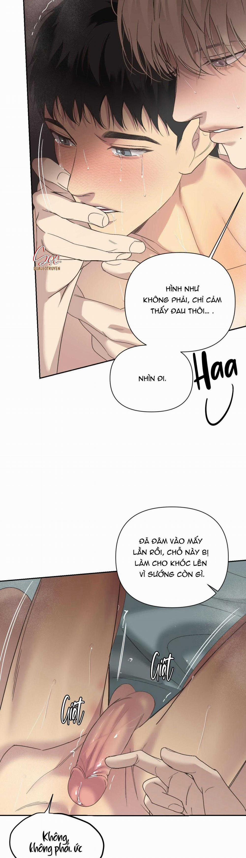 Đèn Nền 25 trang 3