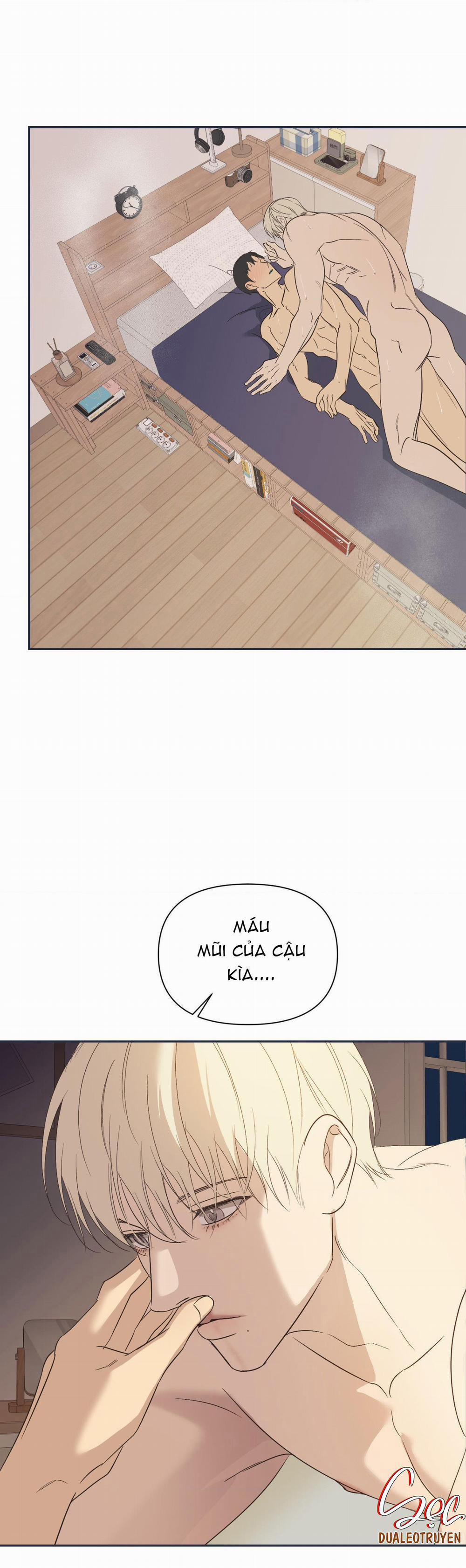 Đèn Nền 31 H+++ full HD trang 0