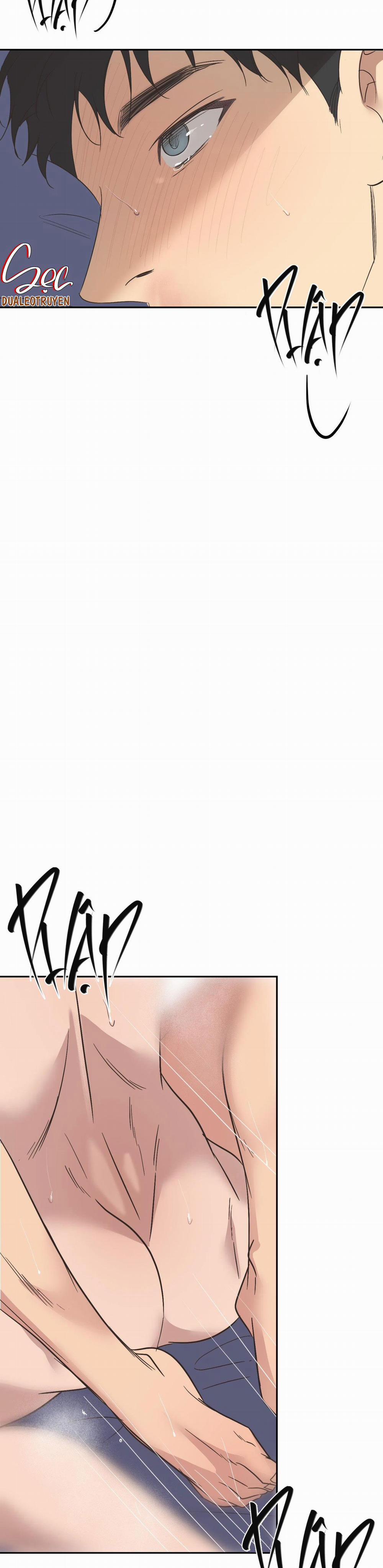 Đèn Nền 31 H+++ full HD trang 12