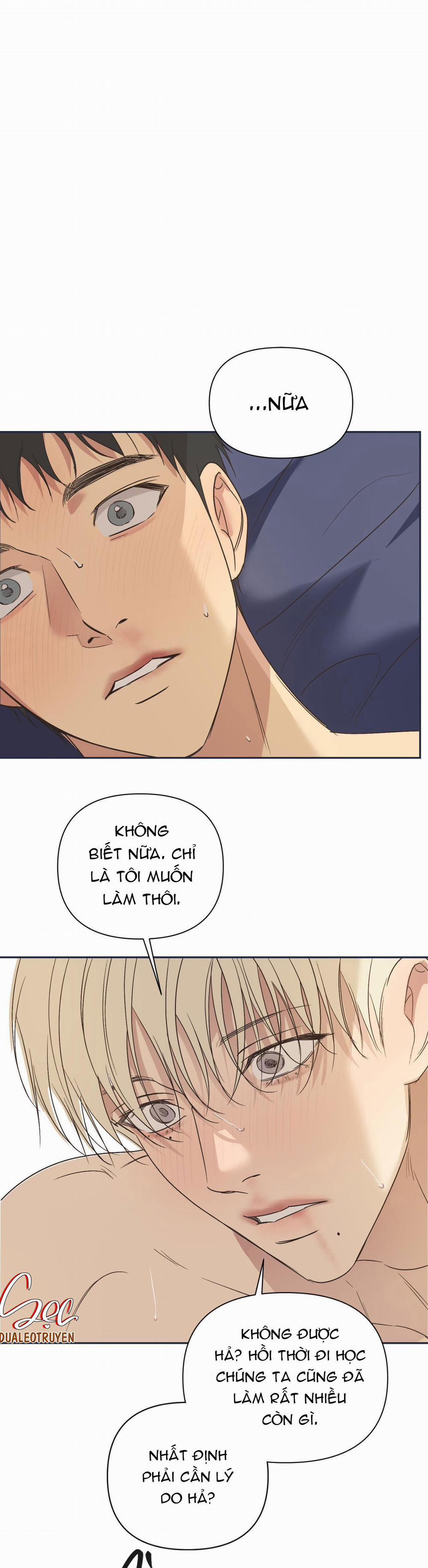 Đèn Nền 31 H+++ full HD trang 5