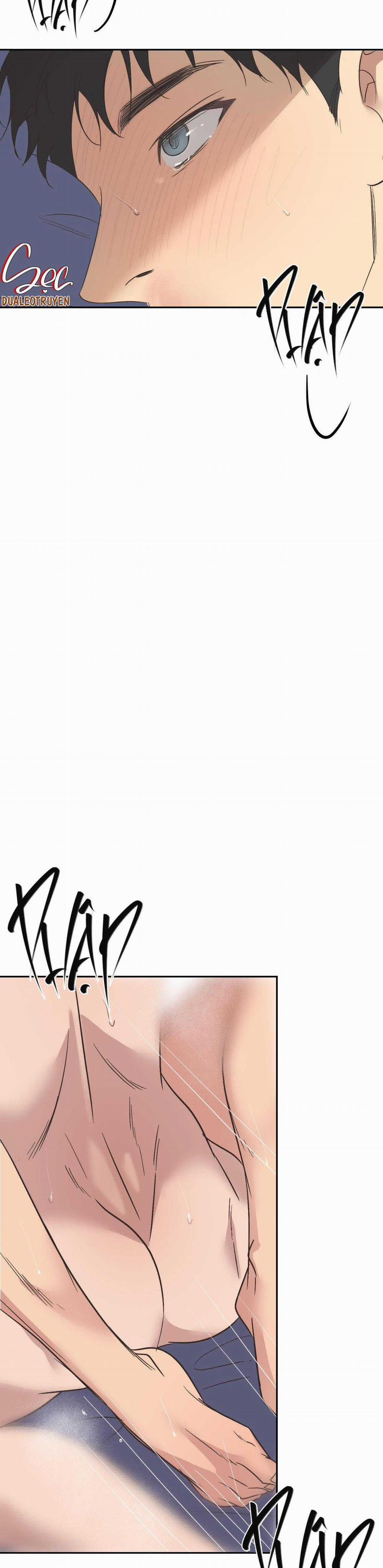 Đèn Nền 31 trang 12