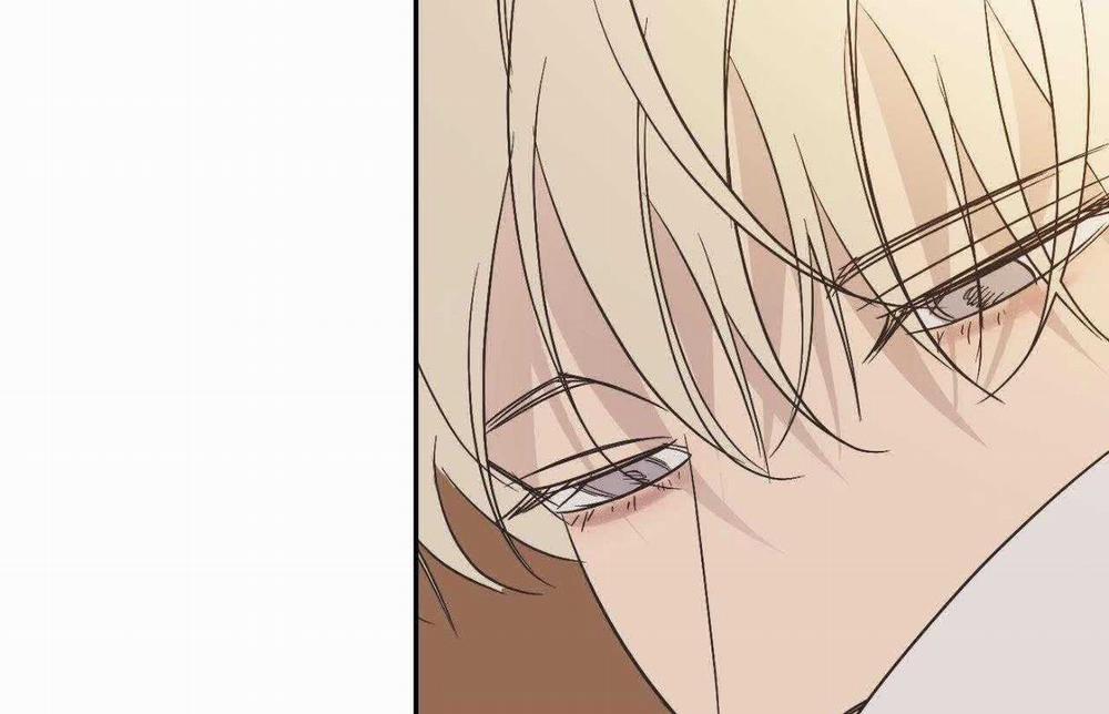 Đèn Nền 31 trang 36