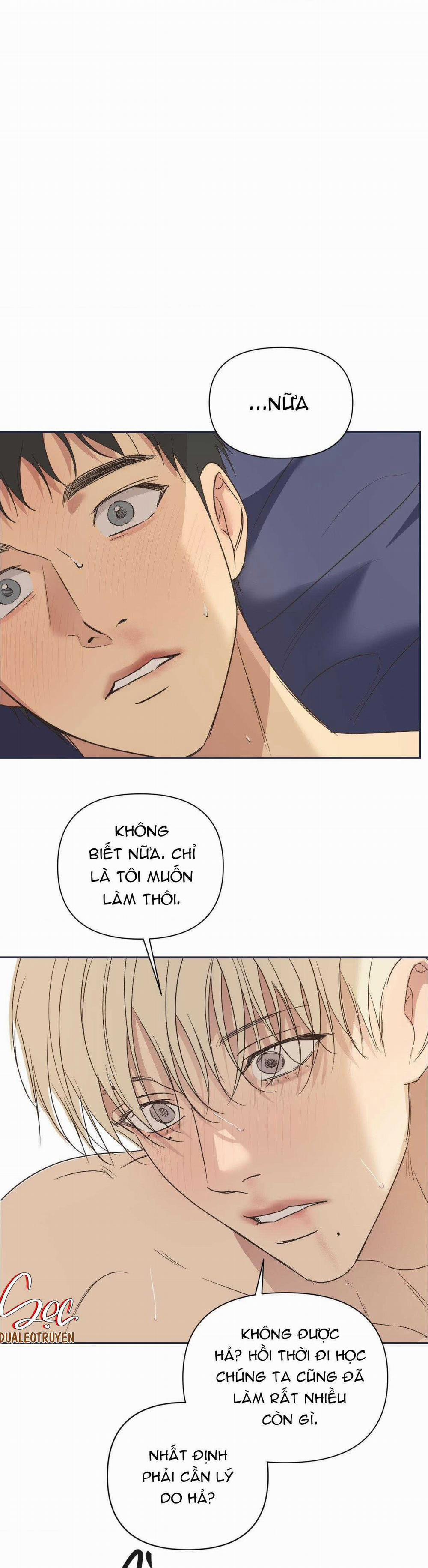 Đèn Nền 31 trang 5