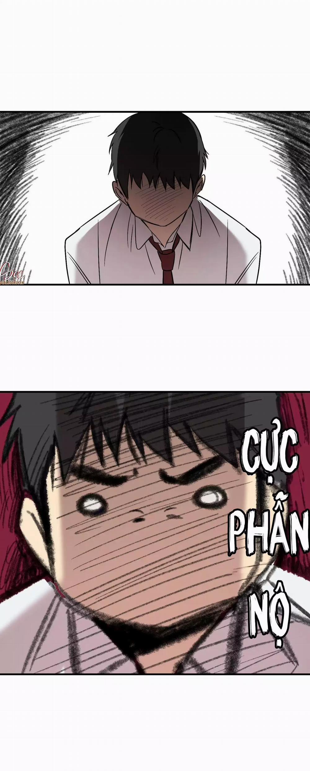 Đèn Nền 35 trang 55