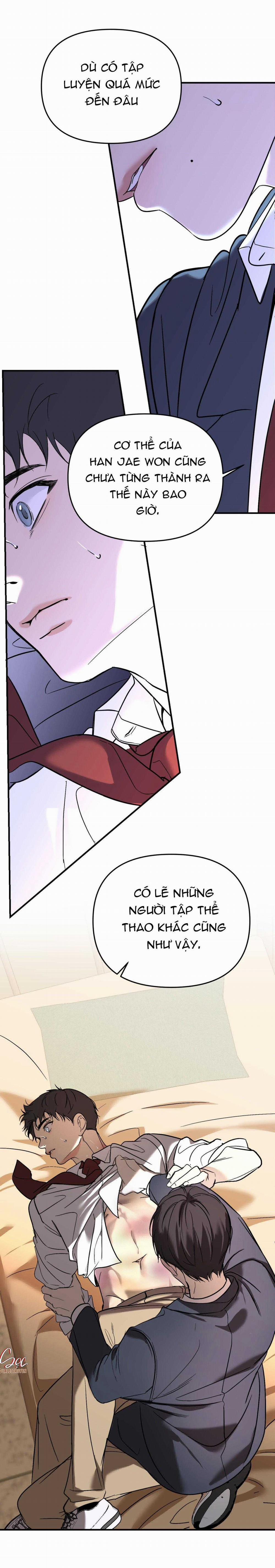 Đèn Nền 36 trang 17