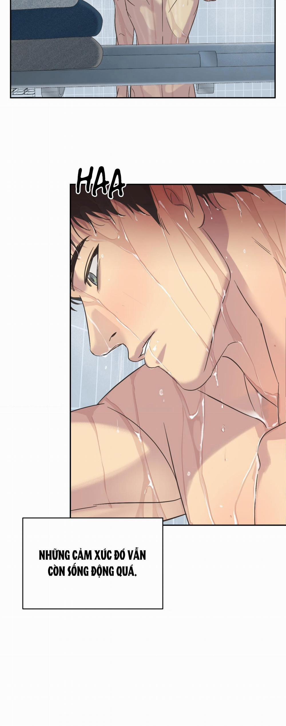 Đèn Nền 8 trang 31