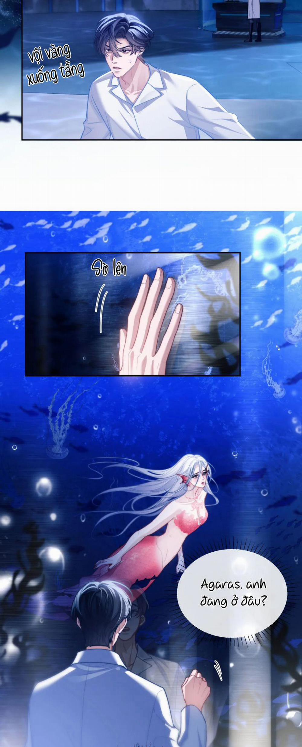 Desharow Nhân Ngư 12 trang 14