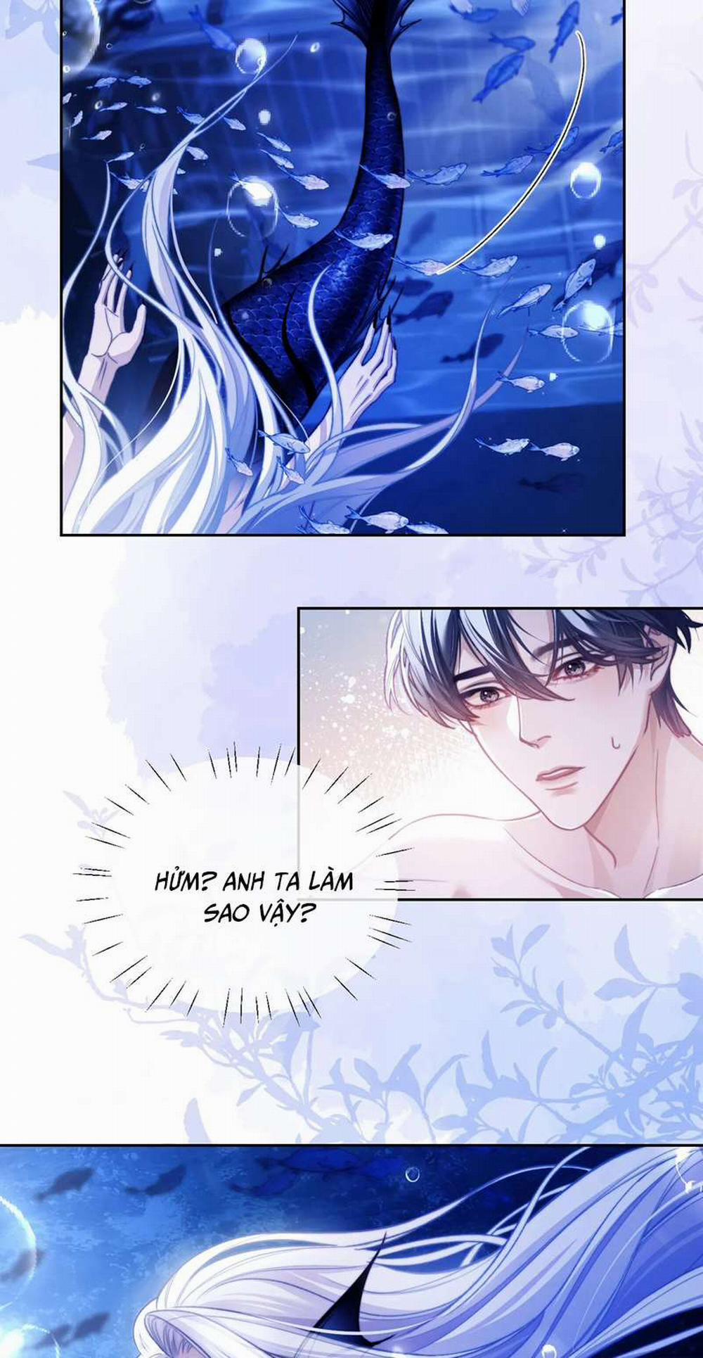 Desharow Nhân Ngư 14 trang 8