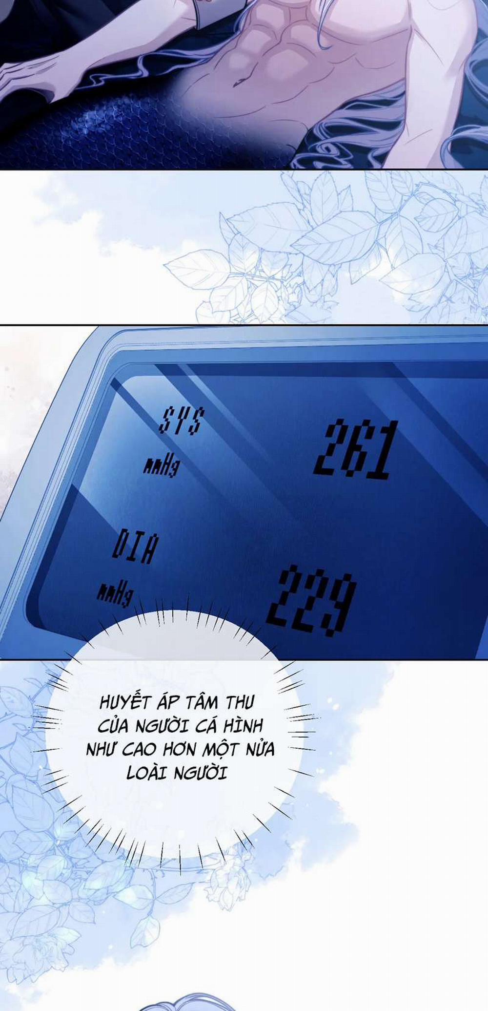 Desharow Nhân Ngư 16 trang 25