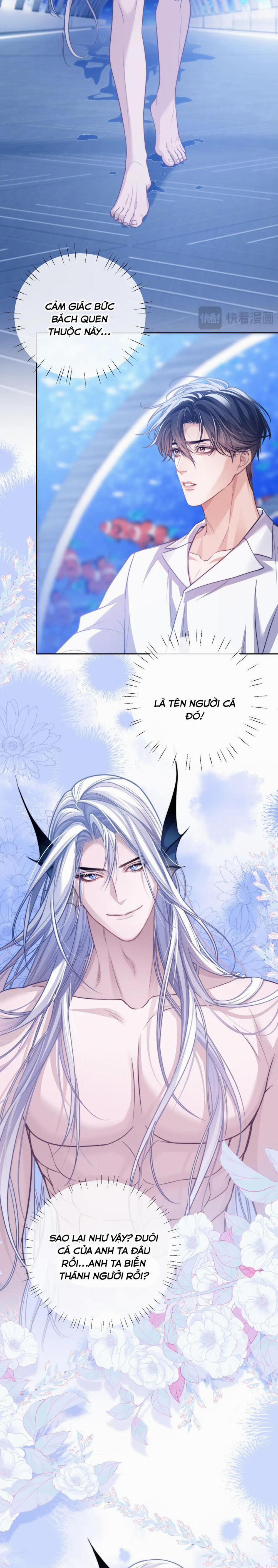 Desharow Nhân Ngư 18 trang 11