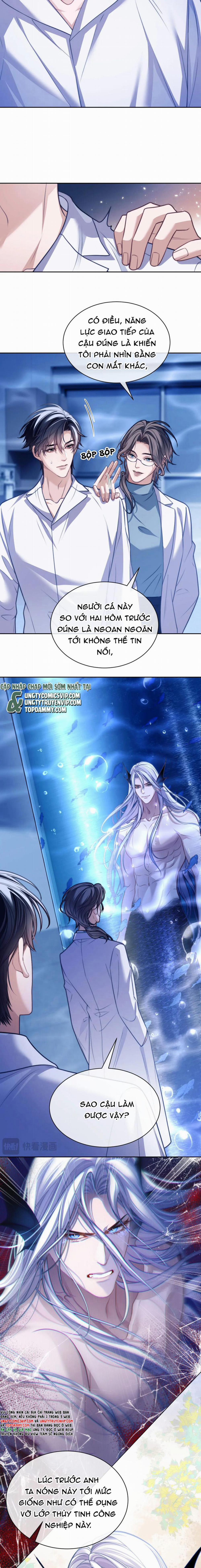 Desharow Nhân Ngư 19 trang 3