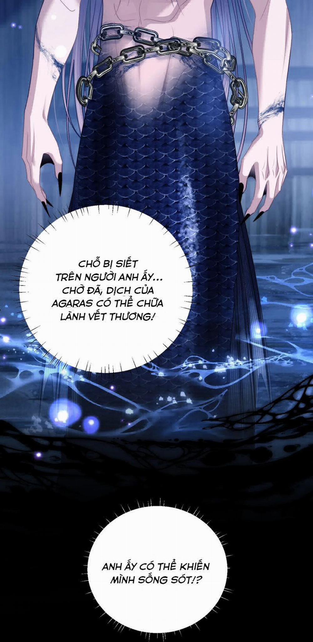 Desharow Nhân Ngư 25 trang 25