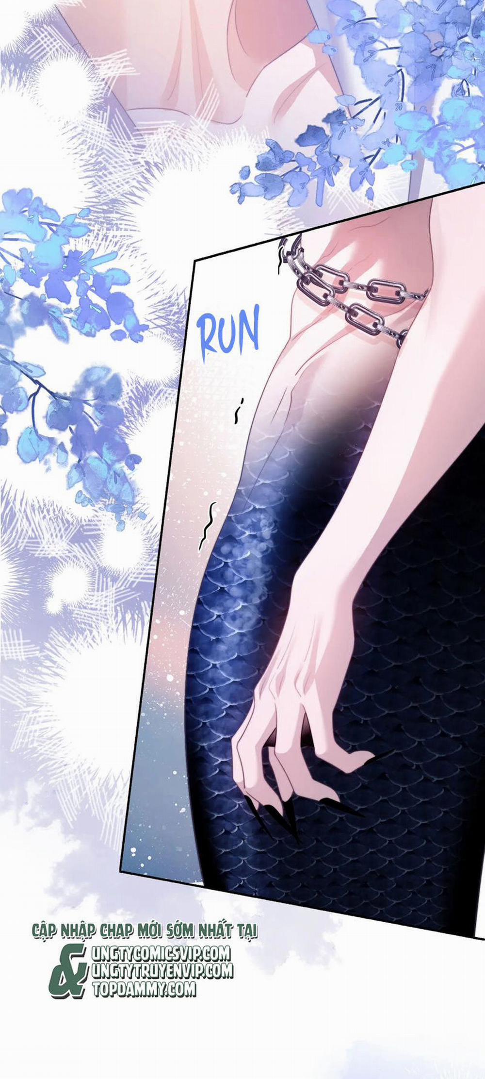 Desharow Nhân Ngư 27 trang 6