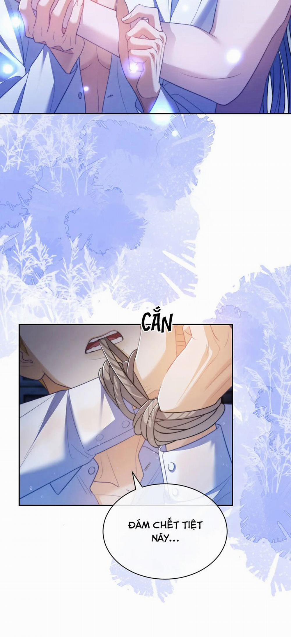 Desharow Nhân Ngư 30 trang 3