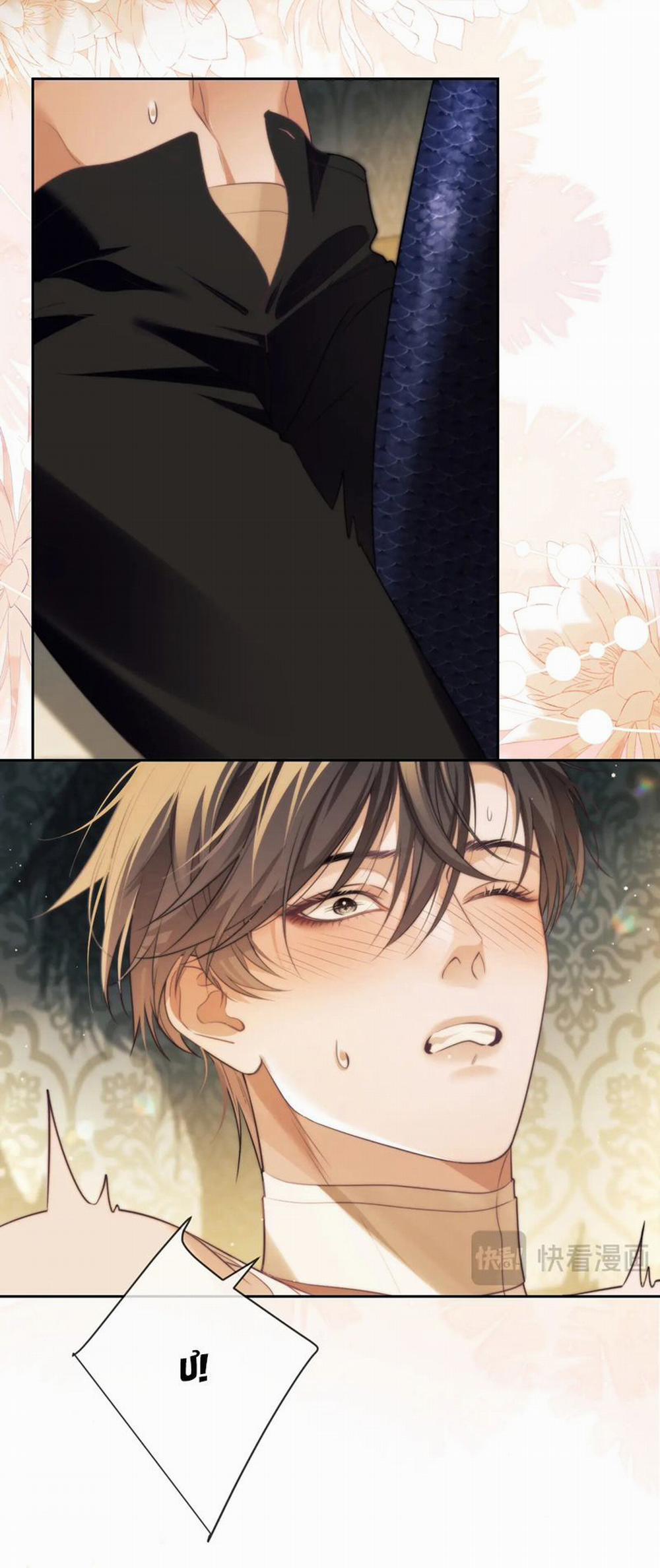 Desharow Nhân Ngư 36 trang 17