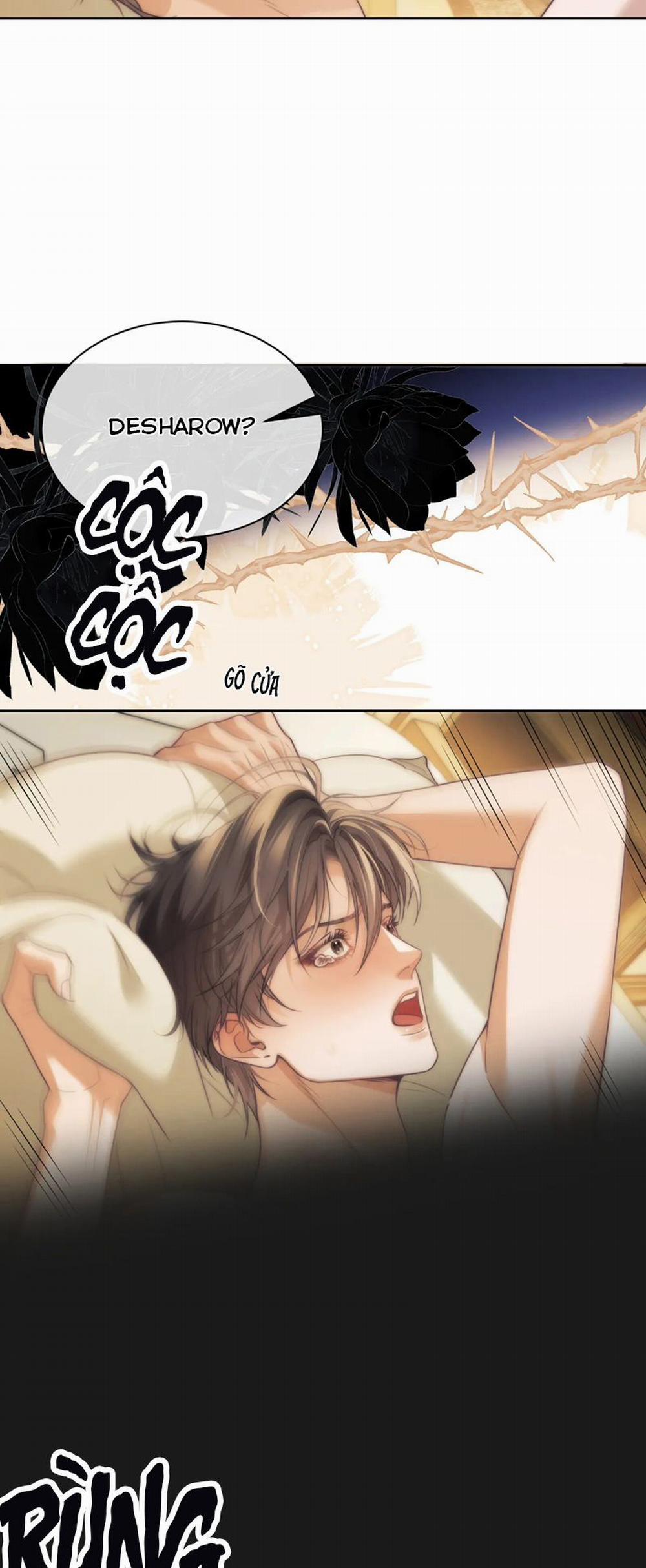 Desharow Nhân Ngư 37 trang 12