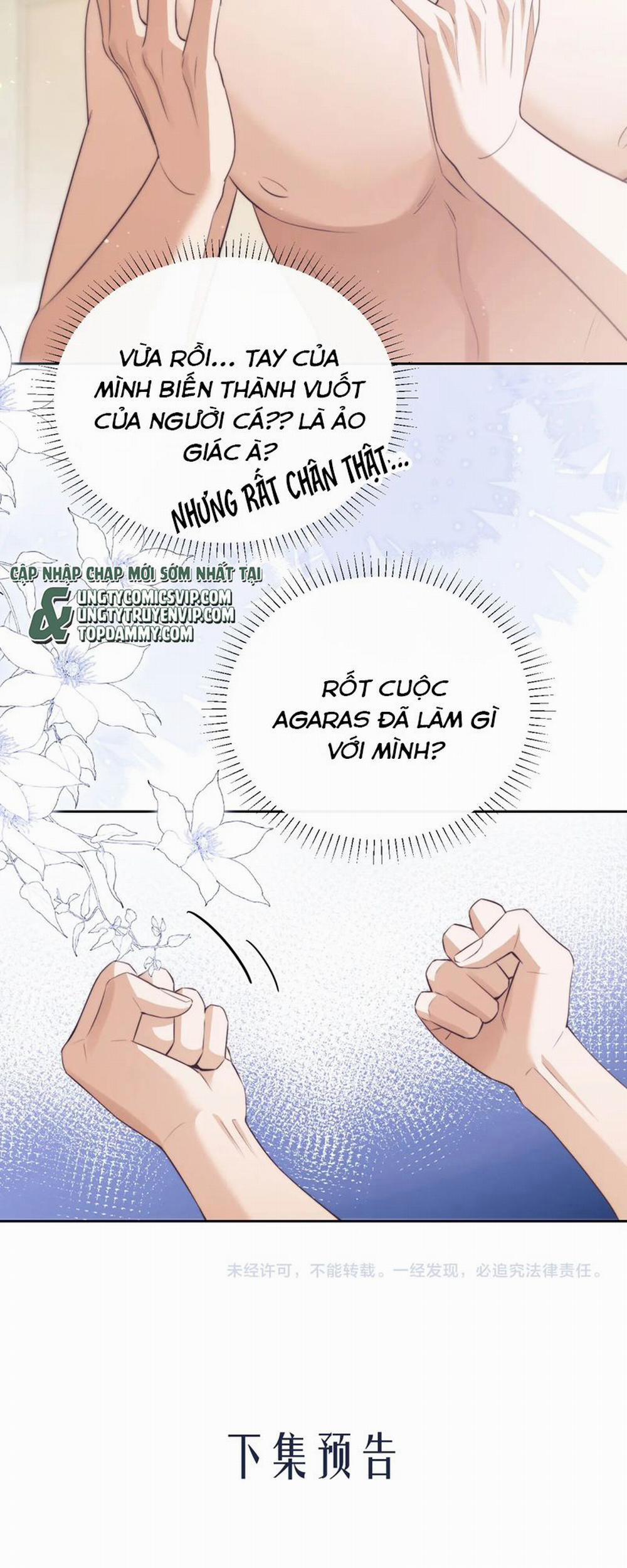 Desharow Nhân Ngư 37 trang 21