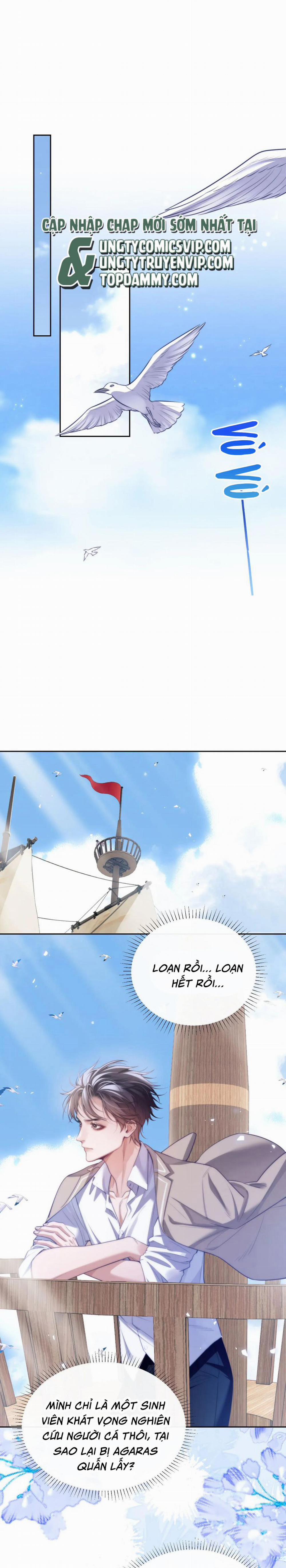 Desharow Nhân Ngư 39 trang 2