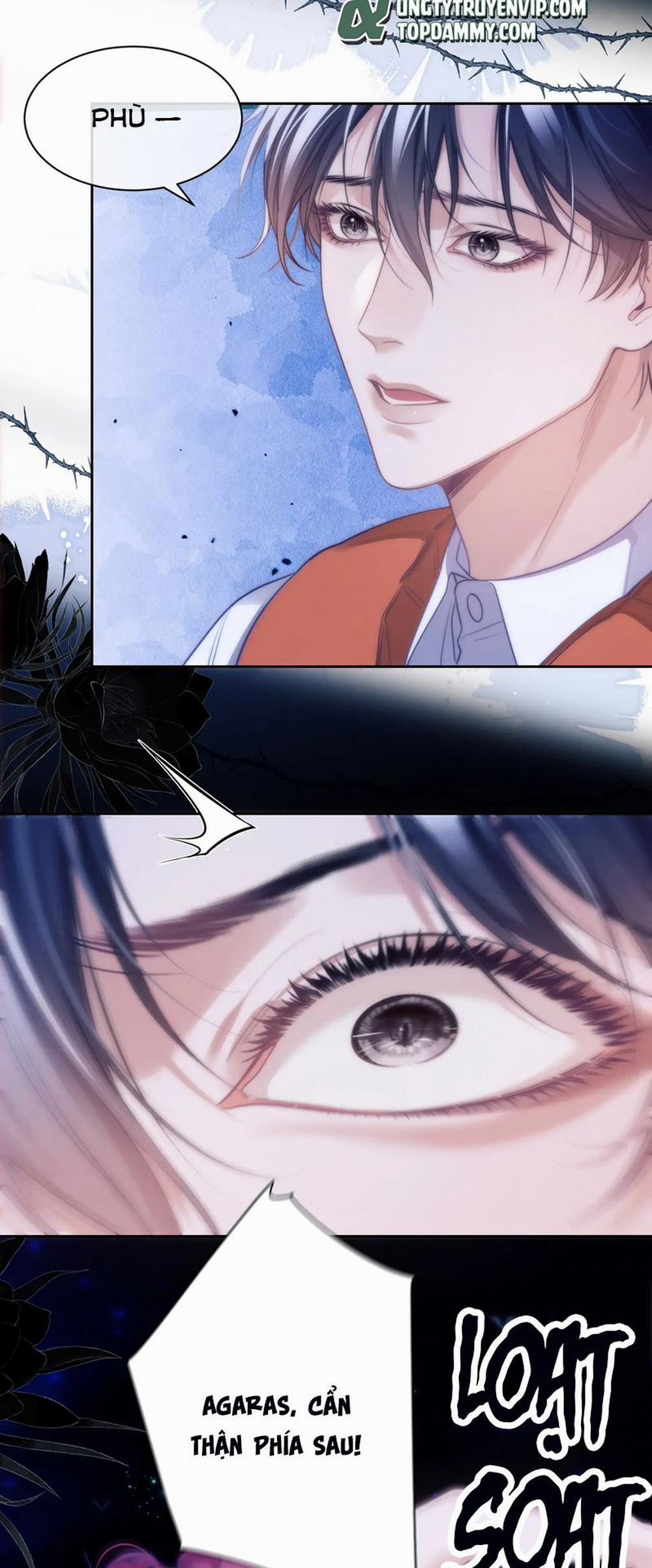 Desharow Nhân Ngư 43 trang 2