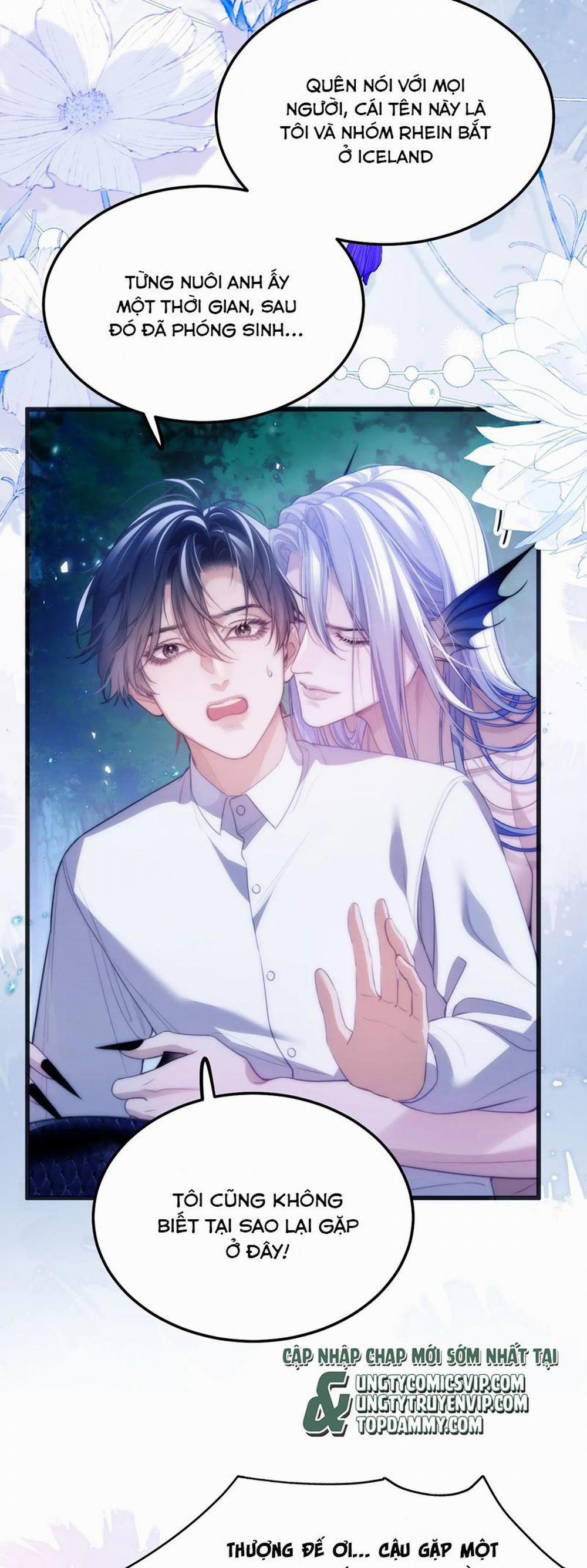 Desharow Nhân Ngư 50 trang 6