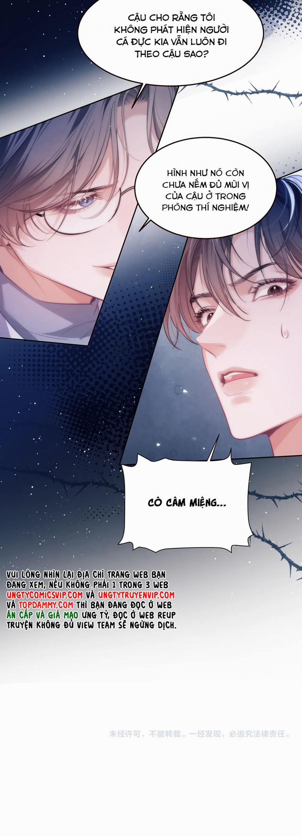 Desharow Nhân Ngư 53 trang 19