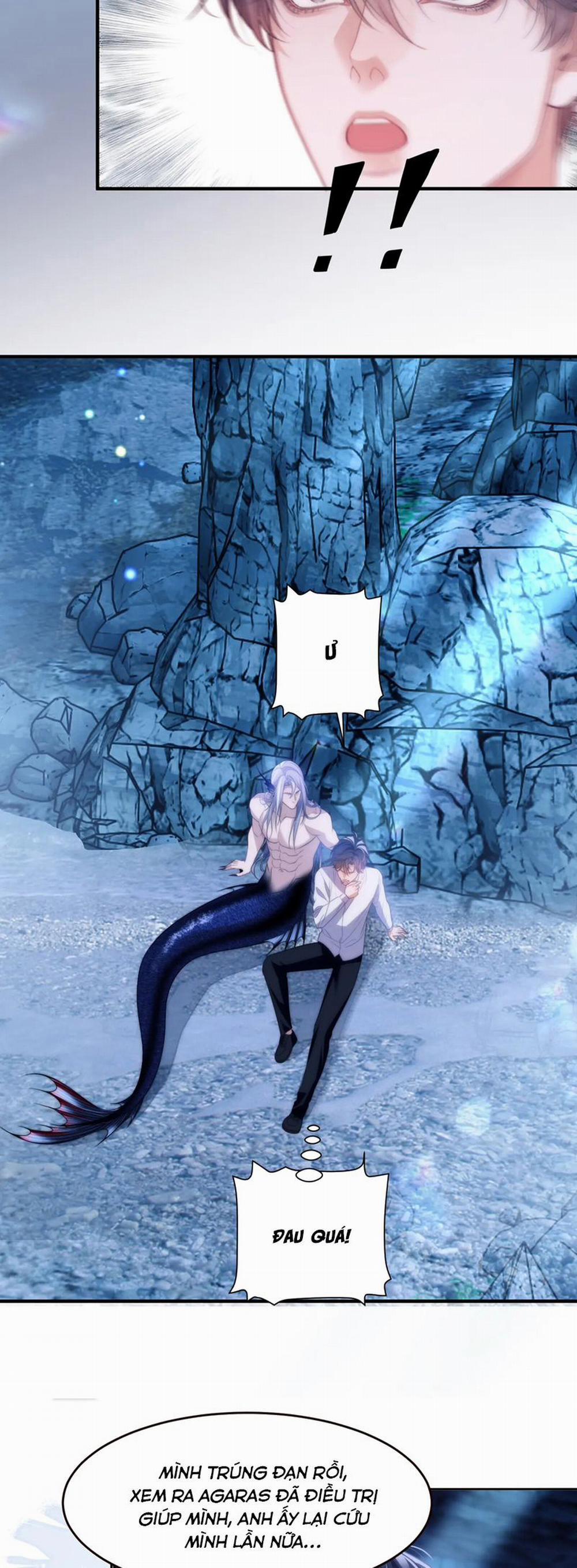 Desharow Nhân Ngư 54 trang 16