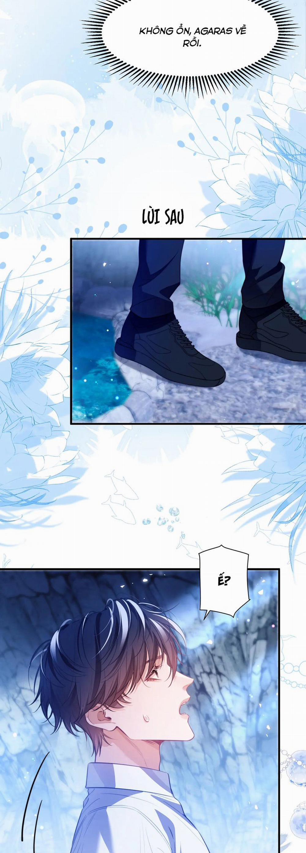 Desharow Nhân Ngư 56 trang 22