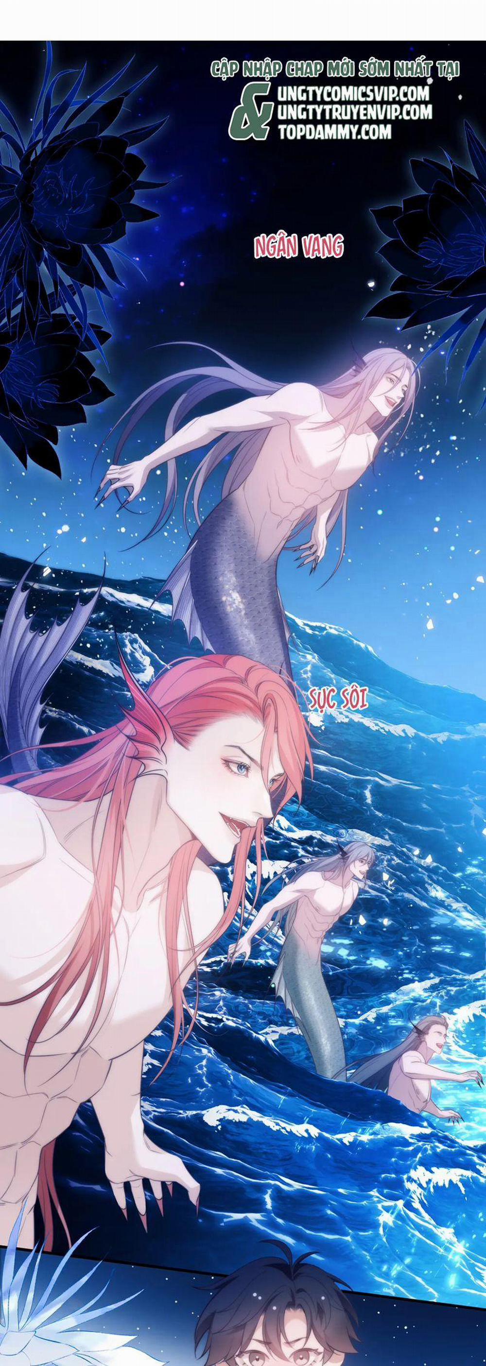 Desharow Nhân Ngư 58 trang 1