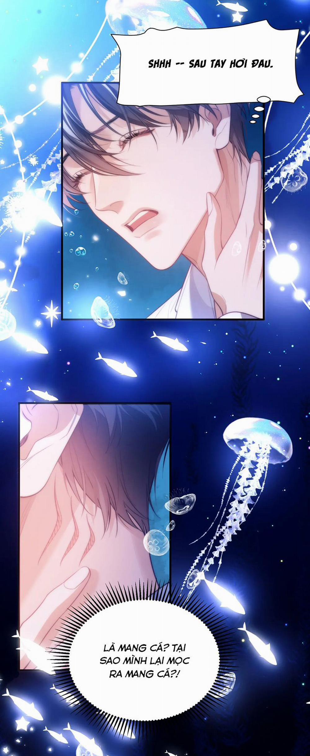 Desharow Nhân Ngư 58 trang 20