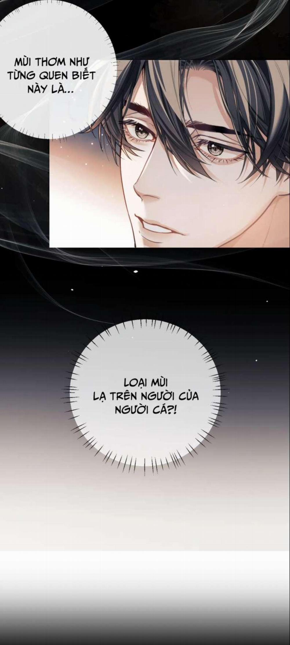 Desharow Nhân Ngư 6 trang 1