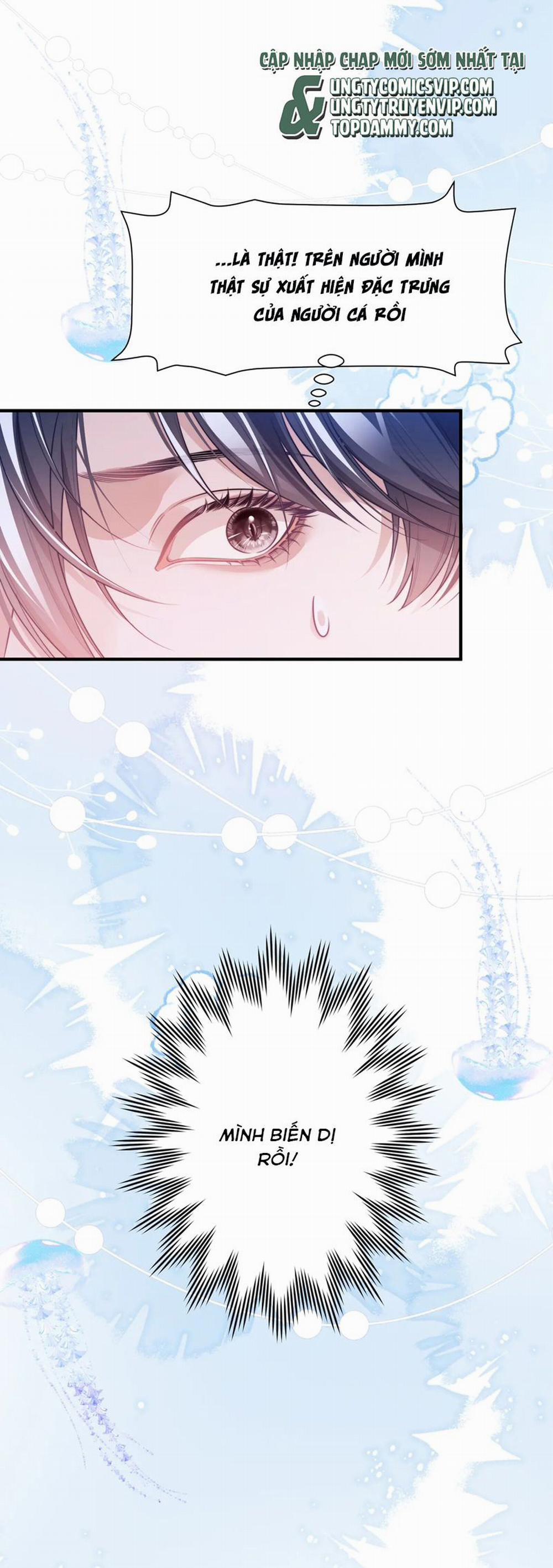 Desharow Nhân Ngư 60 trang 18