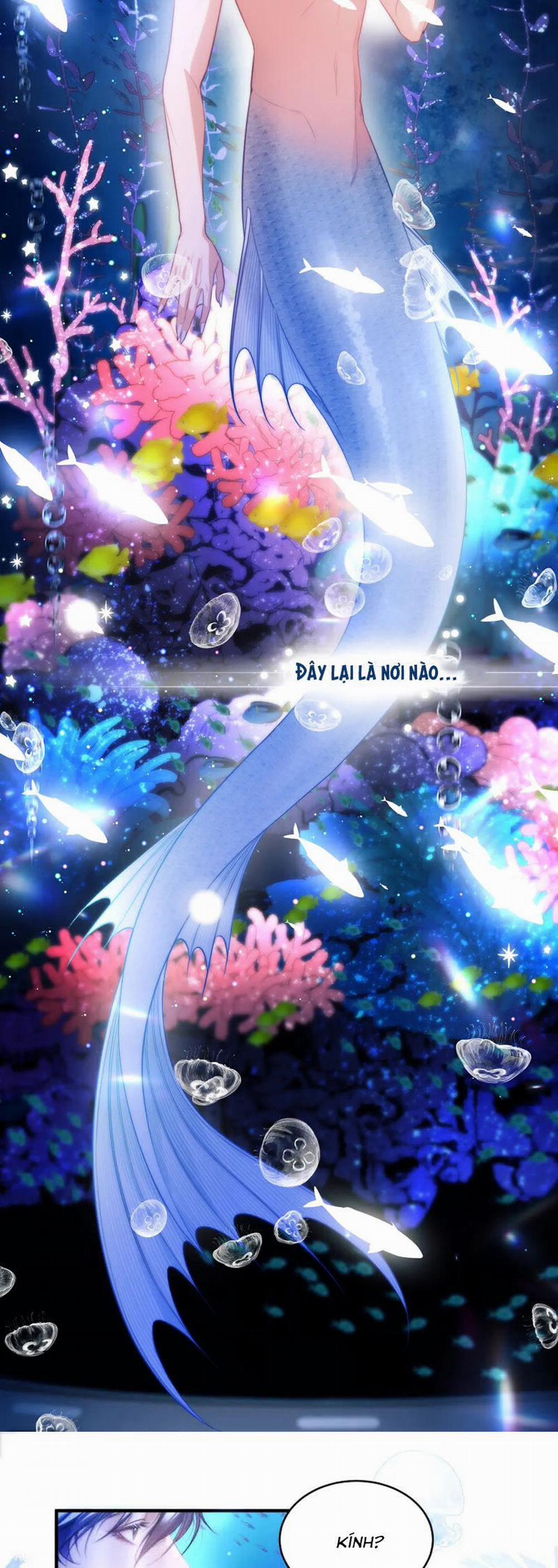 Desharow Nhân Ngư 60 trang 4