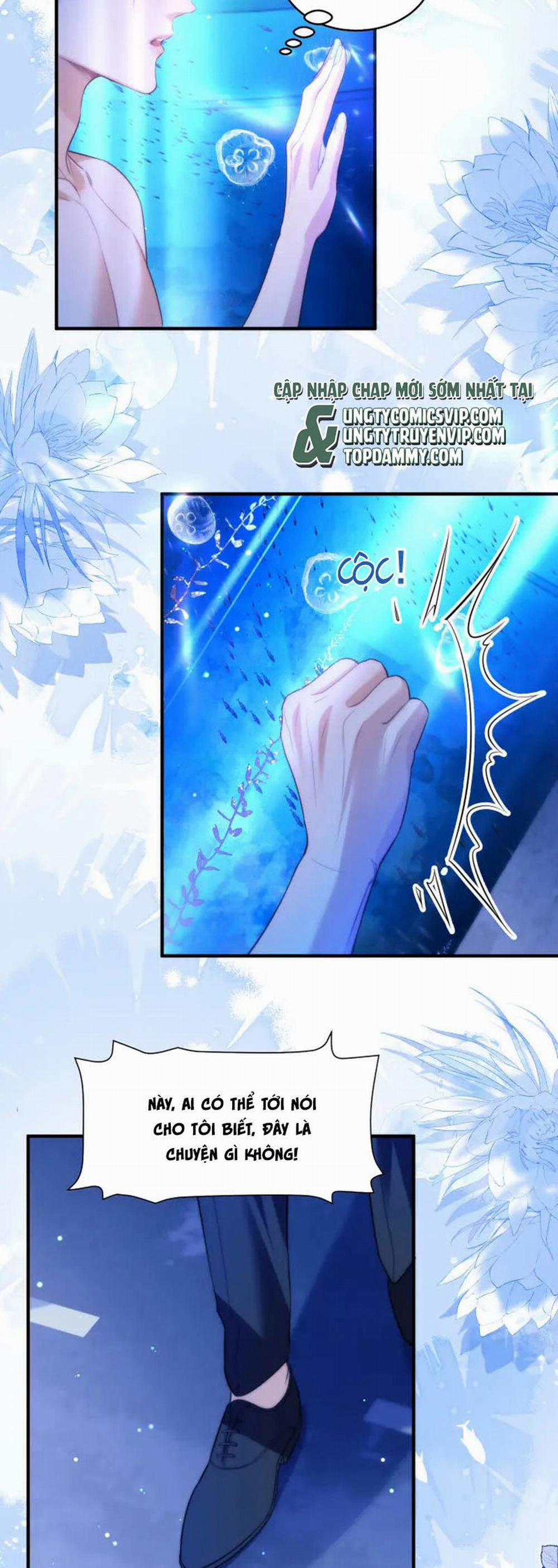 Desharow Nhân Ngư 60 trang 5